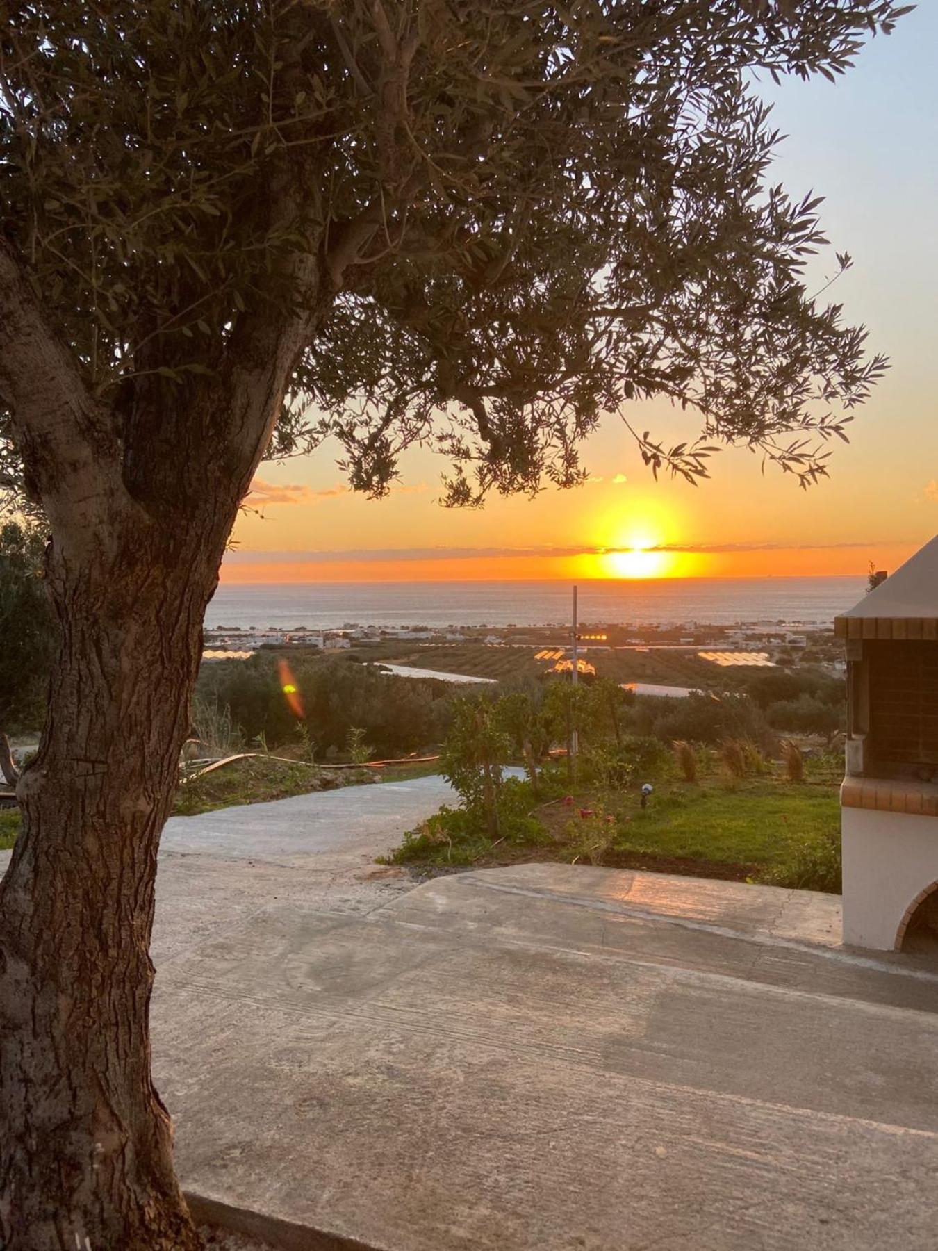Casa Di Olive, All Seasons Accommodation Goudhouros 외부 사진